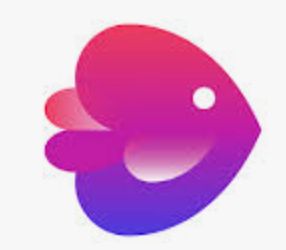 Invideo AI Logo