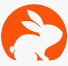 CodeRabbit Logo