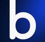 Bagoodex Logo