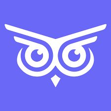 Brandwise Logo