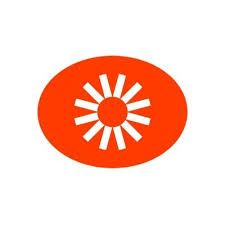 Visual Electric Logo