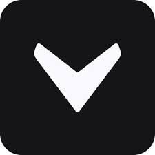 Vizcom Logo