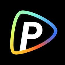 Pollo AI Logo