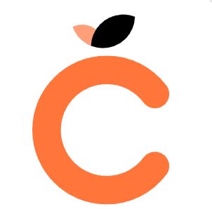 橙篇AI Logo
