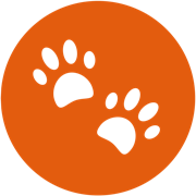 My Talking Pet AI Logo