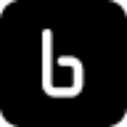 BINARLY Logo