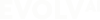 Evolv AI