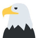 TripoSR Logo